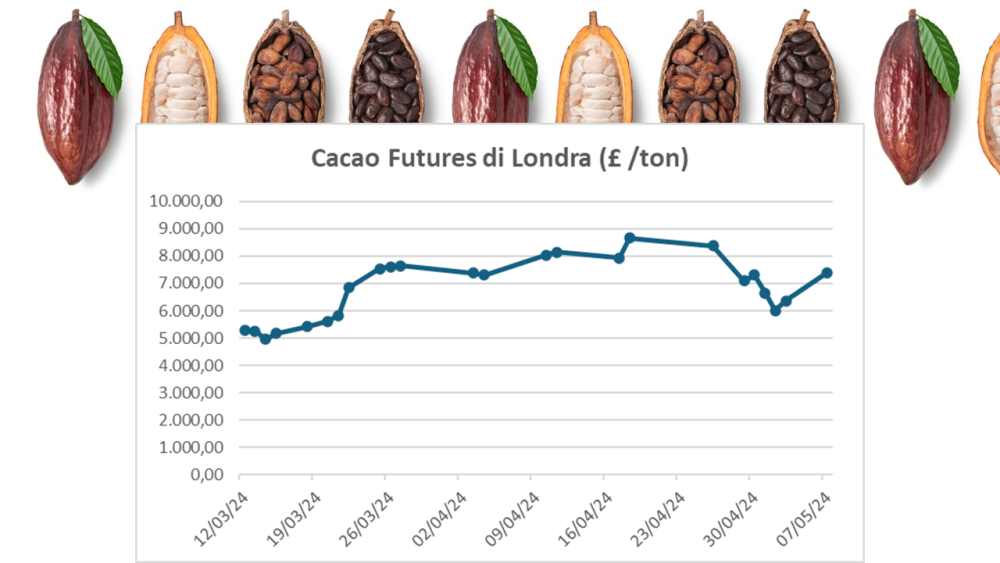 Cacao futures updates