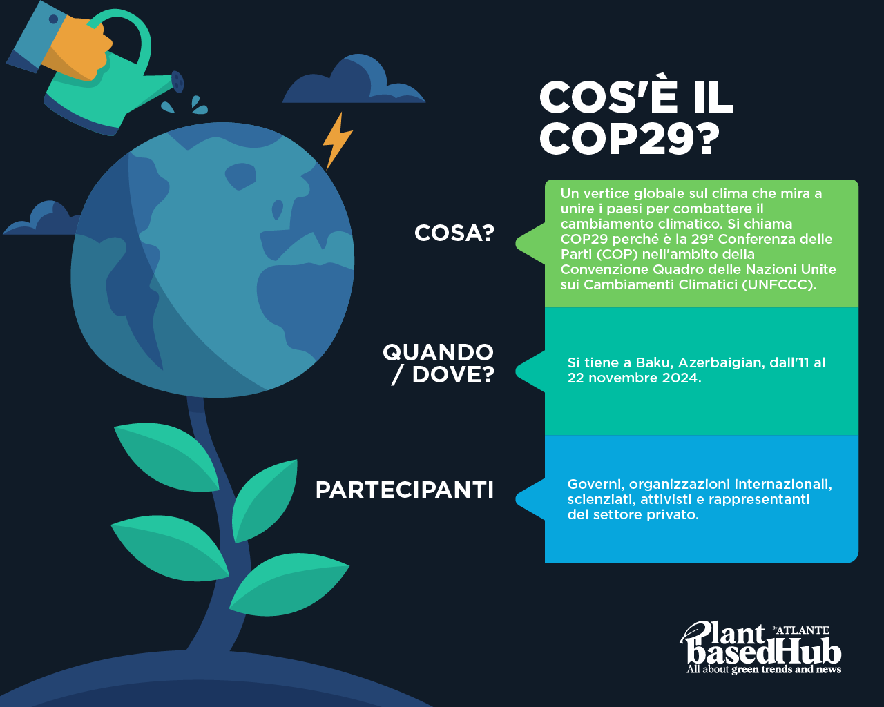 Cos’è la COP29?